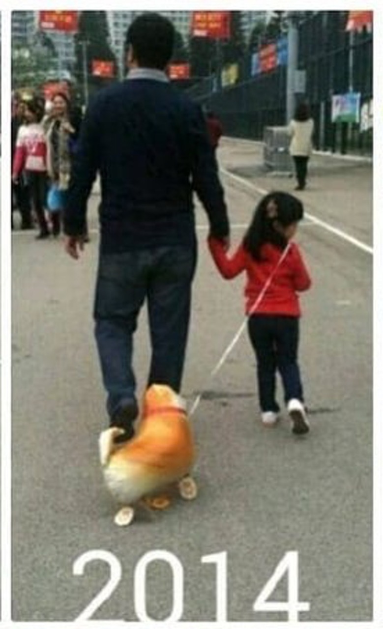 每年例牌動作。